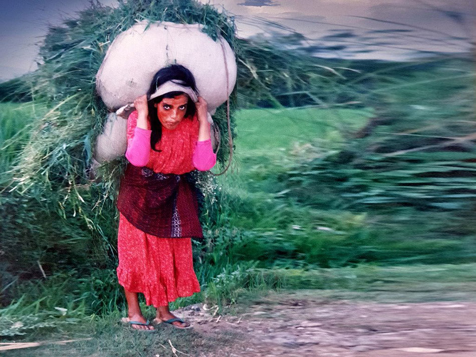 Le transport de charges volumineuses à l'aide d'une sangle frontale est une méthode répandue dans les zones montagneuses et de collines, au Népal. photo d'art