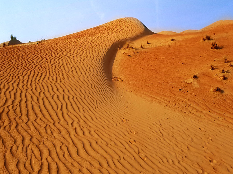 Emirats Arabes Unis Dubai , dunes dans le désert du Rub al-Khali