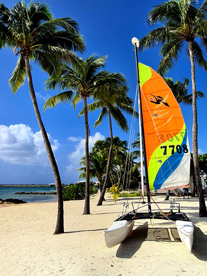 Guadeloupe-beach and palm trees-digital file 30x40cm or 15x20cm