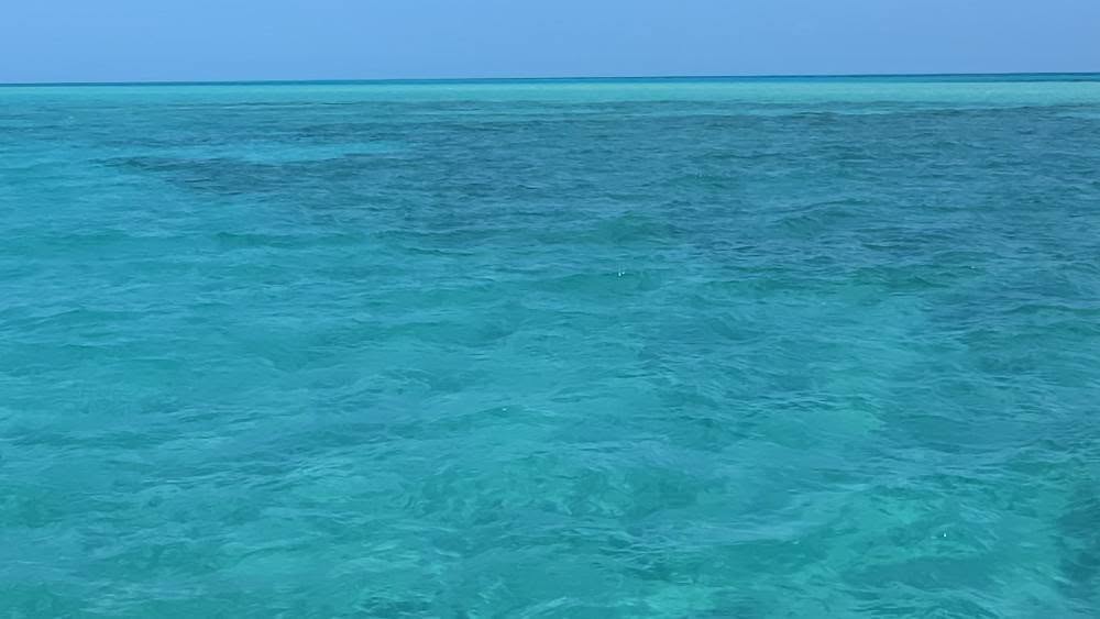 Les Bahamas : une palette de bleu et des rencontres magiques sous l'eau