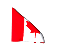 AVE Canada - Comment faire sa demande de visa électronique