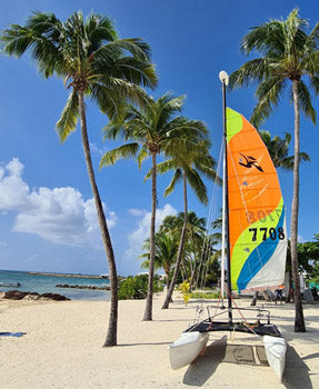 Guadeloupe - Astuces de voyage et bons plans aux Antilles
