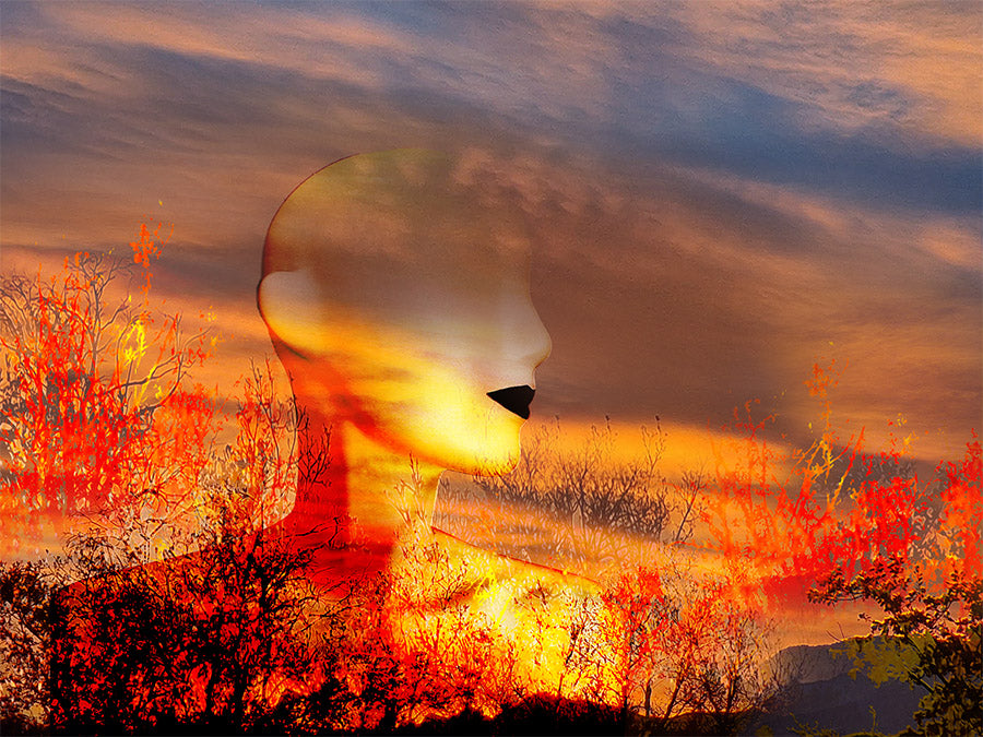 Série réalisée sur la personnalisation de la nature, ici le feu. Cette œuvre personnifie le feu comme une force destructrice, représenté comme un être puissant et majestueux . Elle exprime également la passion et l'énergie que le feu peut incarner.