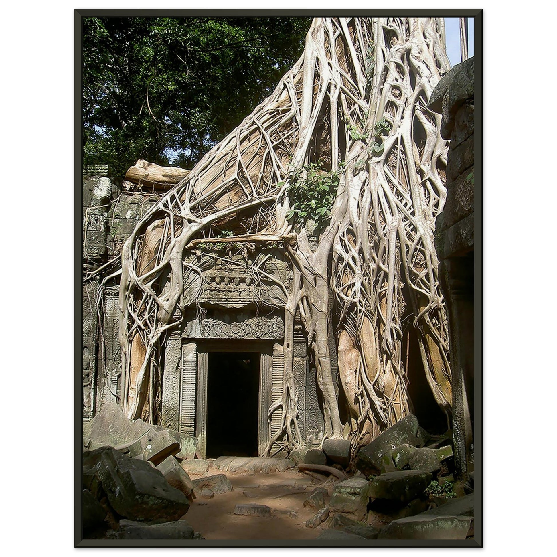 Racines géantes d'un arbre enlaçant une porte en pierre sculptée du temple de Ta Prohm à Angkor, Cambodge